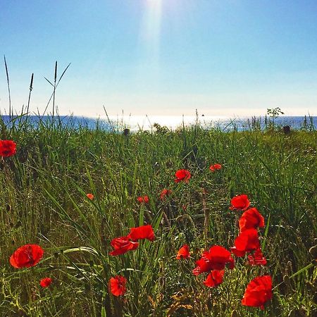 Strandresort Prora - Wg 114 Mit Meerblick Бінц Екстер'єр фото